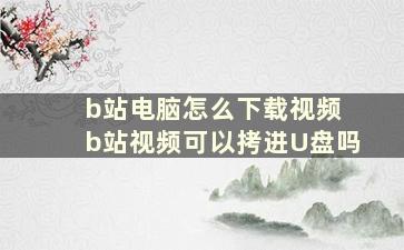 b站电脑怎么下载视频 b站视频可以拷进U盘吗